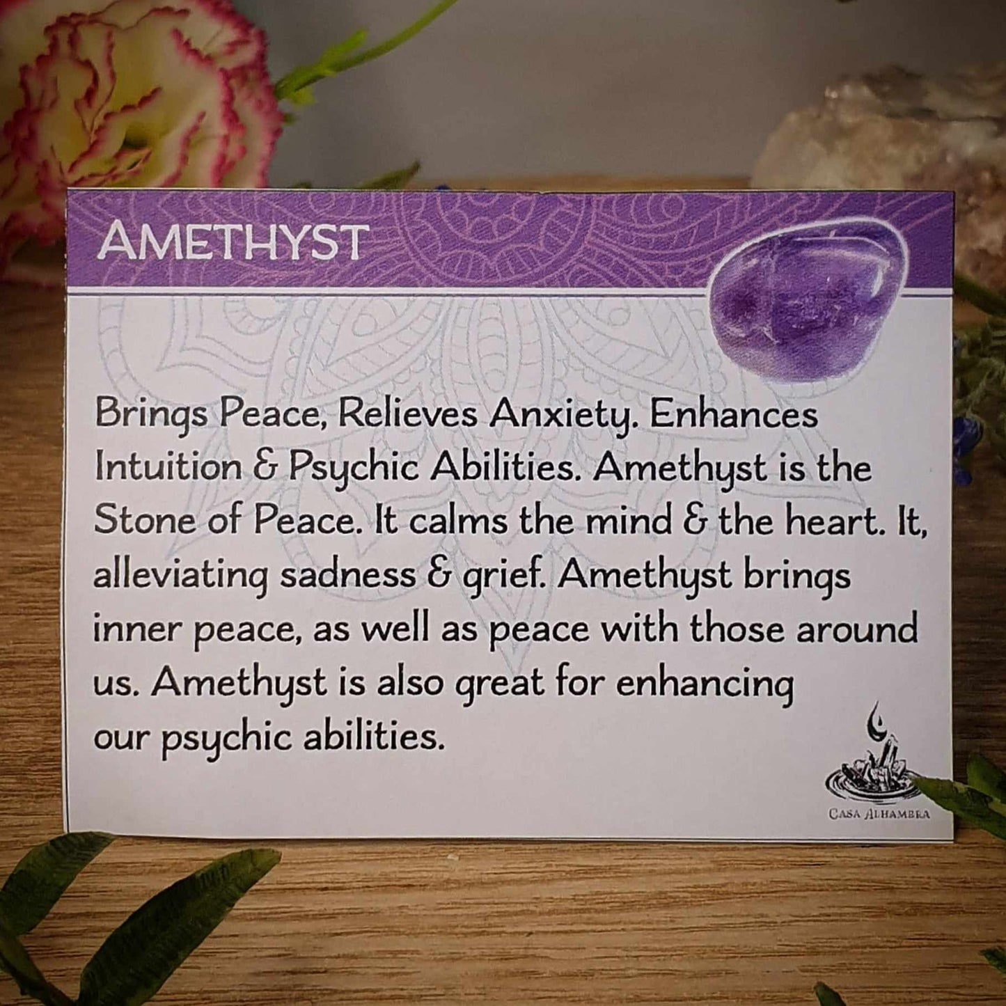 Amethyst Ring - Size 8.5 (mx821)