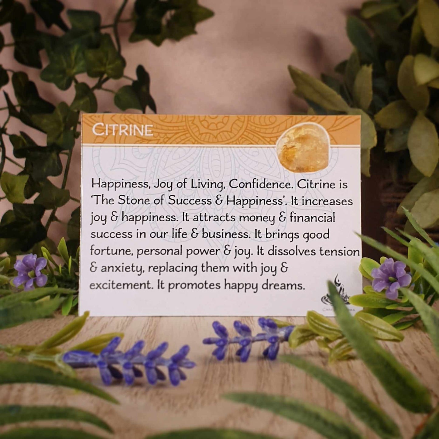 Golden Rutile, Citrine Pendant (mx877)