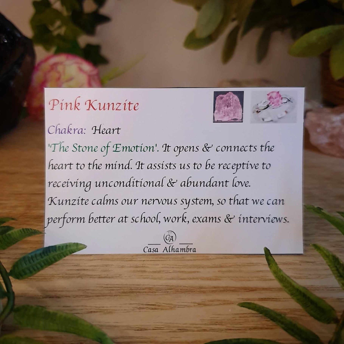 Pink Kunzite Pendant (mx810)