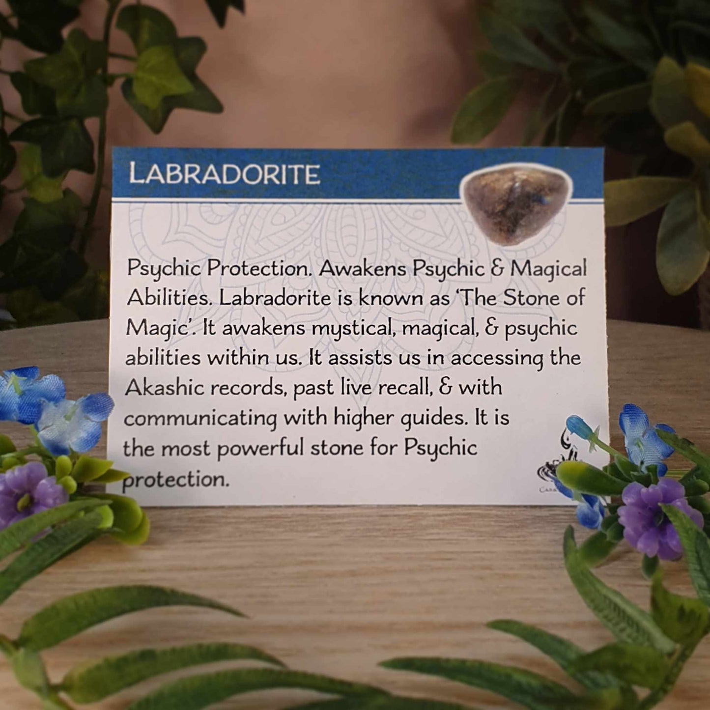 Labradorite Ring - Size 8 (mx854)