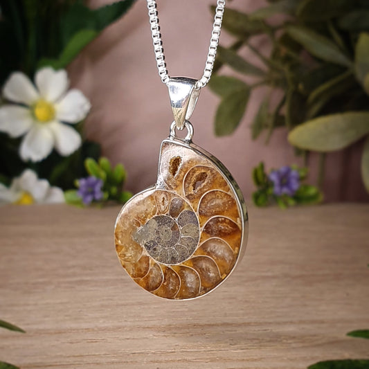 Ammonite Pendant (mx753)