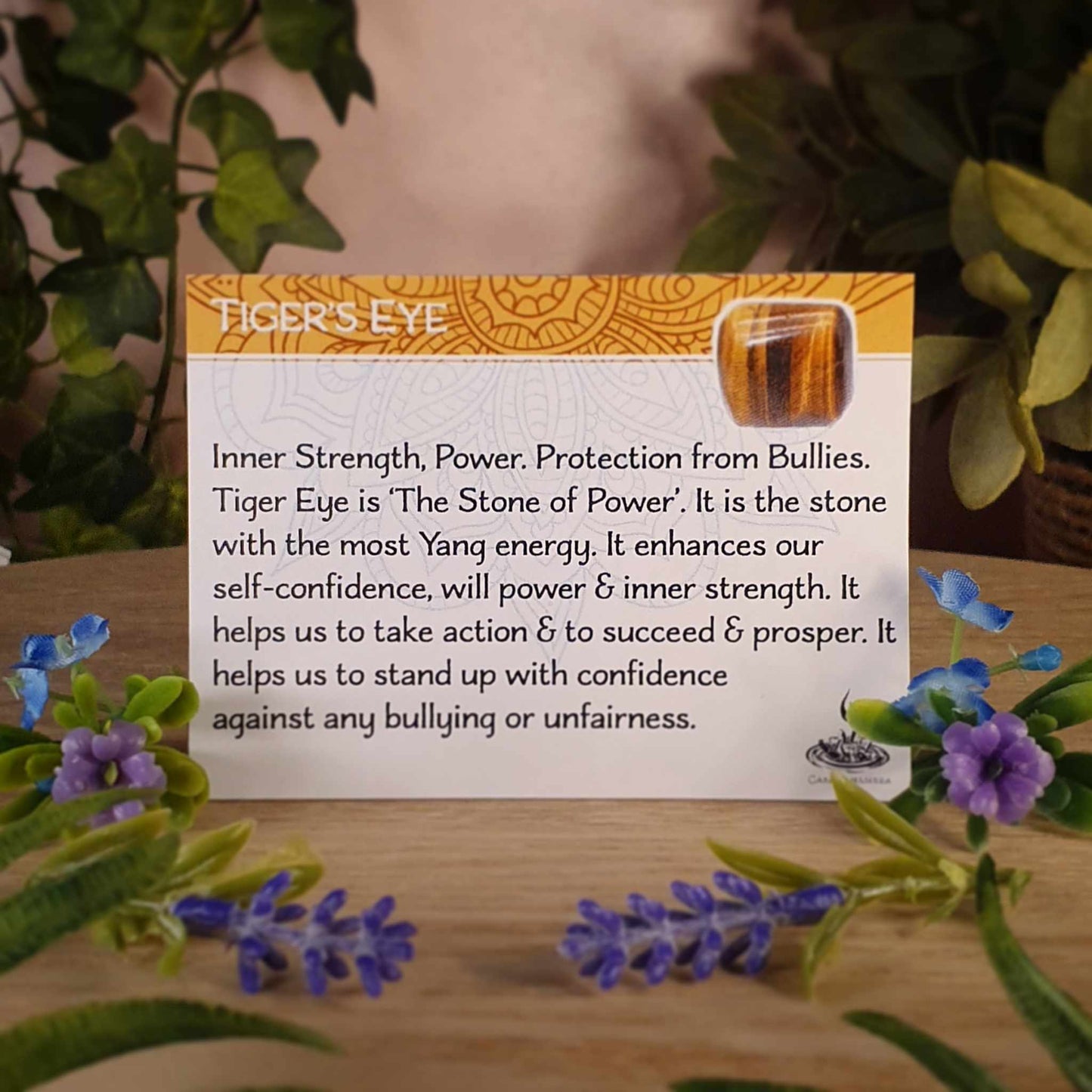 Tiger's Eye, Citrine Pendant (mx878)