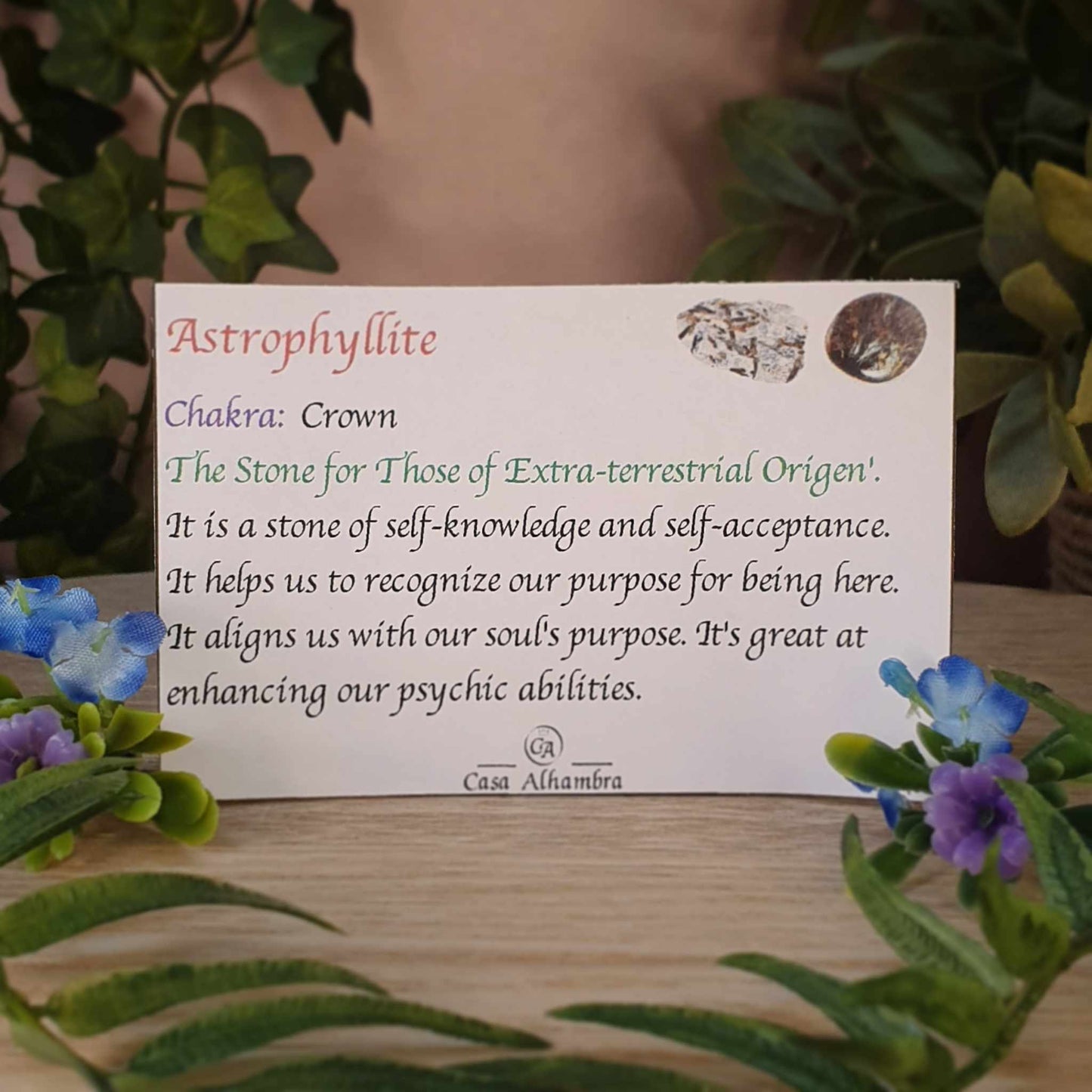 Astrophyllite Pendant (mx490)